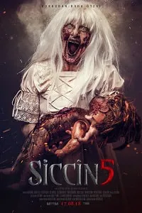 Siccin 5 Poster