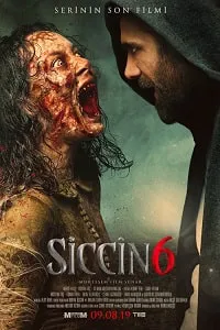 Siccin 6 Poster